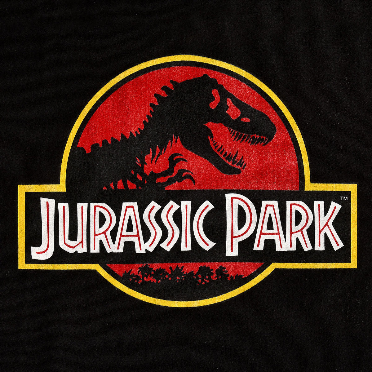 Product image Jurassic Park - Logo T-Shirt Women Black
