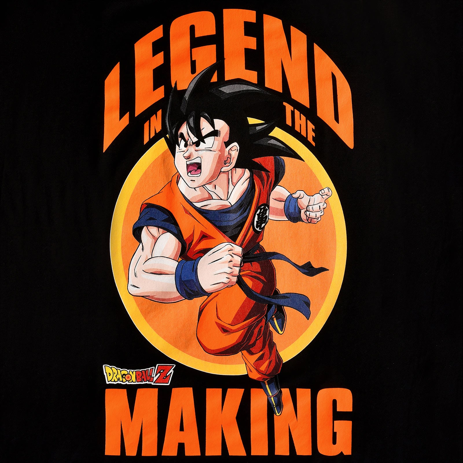 Produktbild Dragon Ball Z - Legend in the Making T-shirt svart