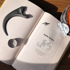 Produktbild Jurassic Park - Velociraptor Klo Magnetisk Flasköppnare