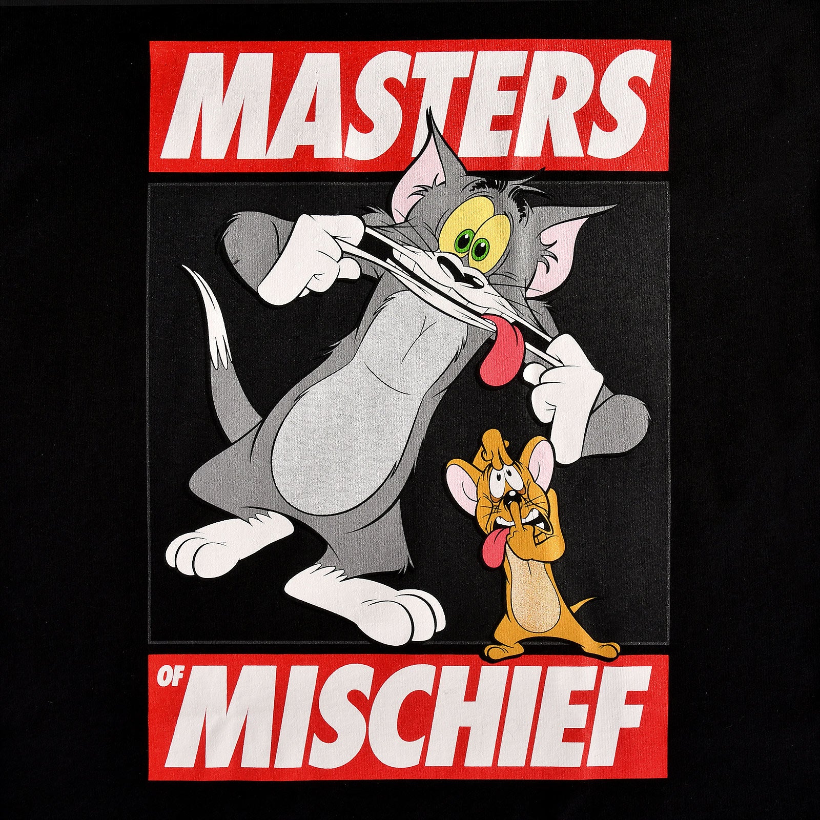 Produktbild Tom och Jerry - Masters of Mischief svart