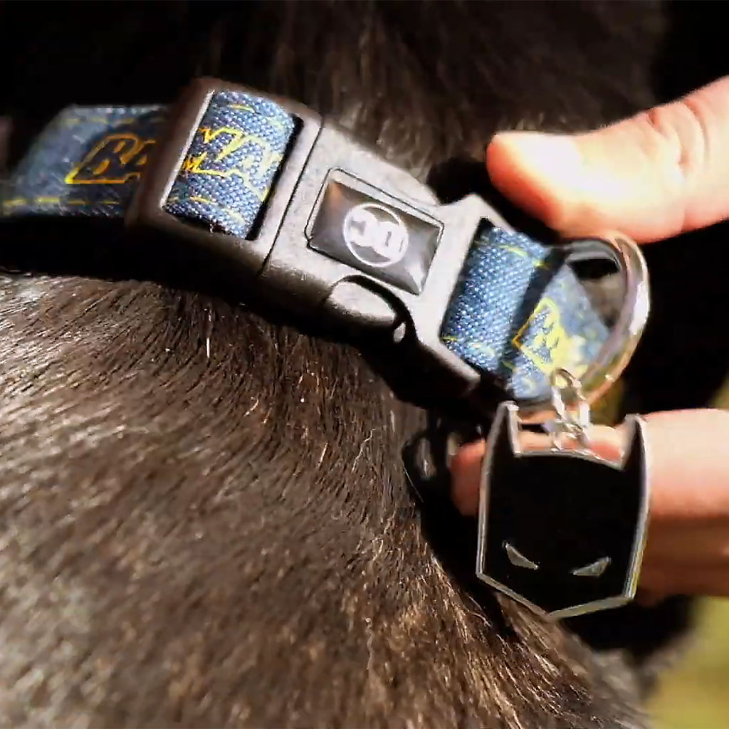 Produktbild Batman klickhalsband för hundar blå