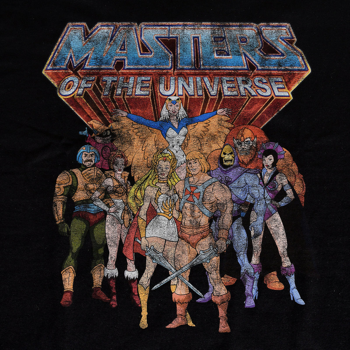 Produktbild Masters of the Universe - Karaktärer Distressed T-shirt svart