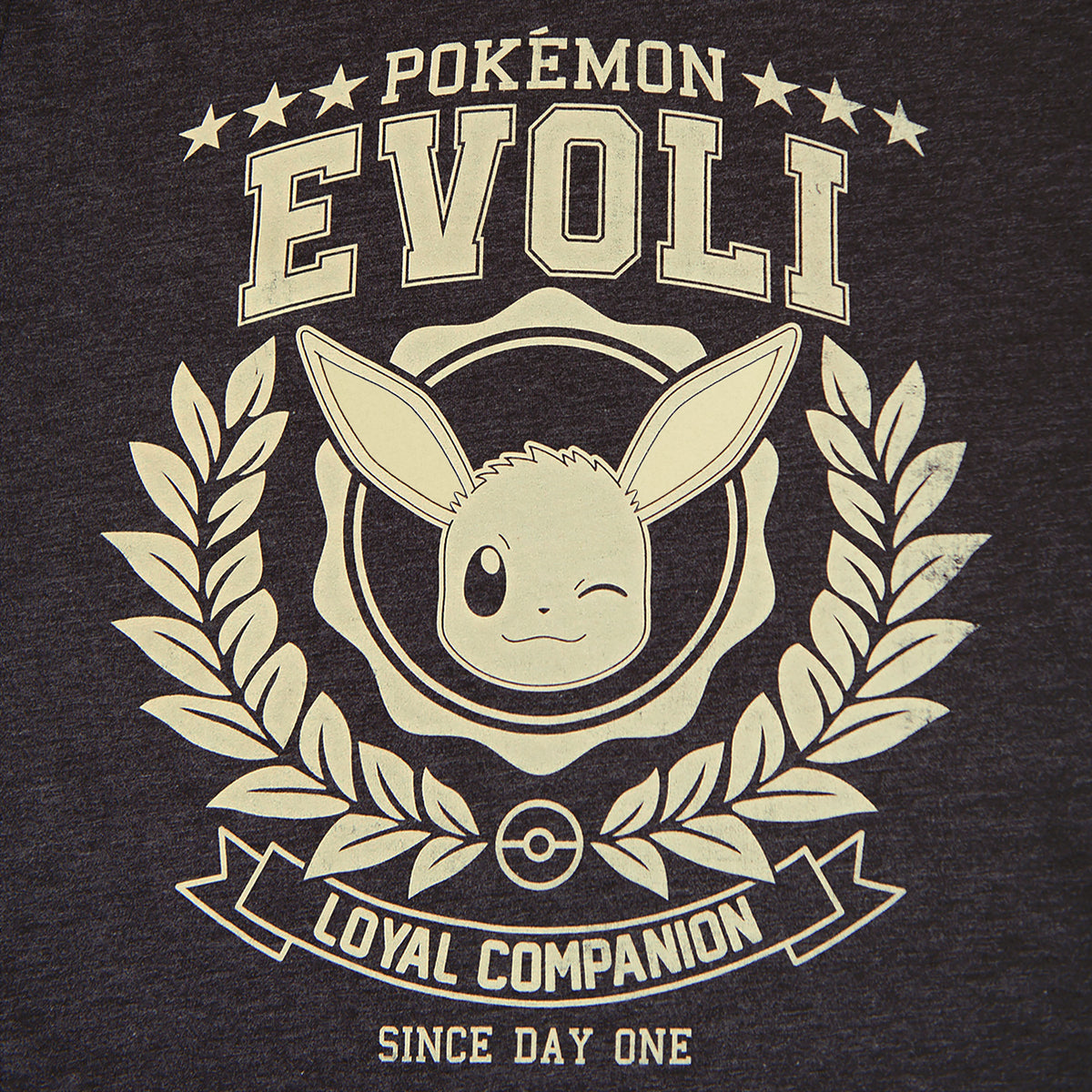 Product image Pokemon - Eevee Loyal Companion T-Shirt grey