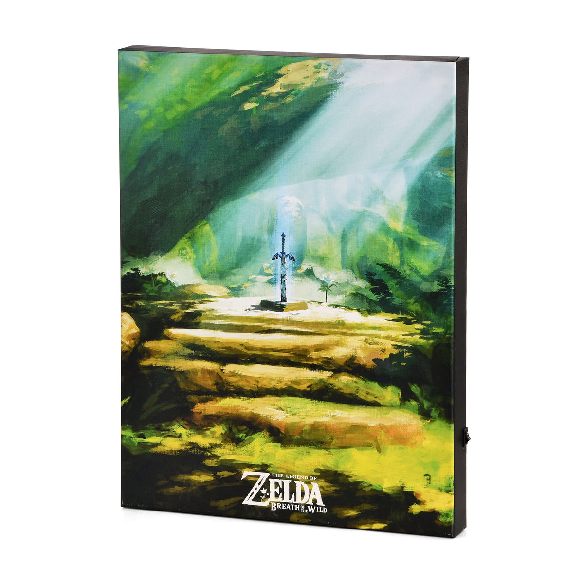 Produktbild Zelda - Master Sword Väggbild med ljus