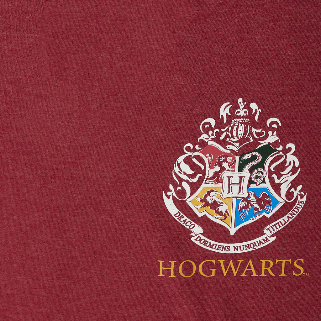 Produktbild Harry Potter Gryffindor Sökar Oversize T-shirt Dam röd