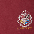 Produktbild Harry Potter Gryffindor Sökar Oversize T-shirt Dam röd