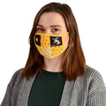 Produktbild Harry Potter - Hufflepuff ansiktsmask 2-pack