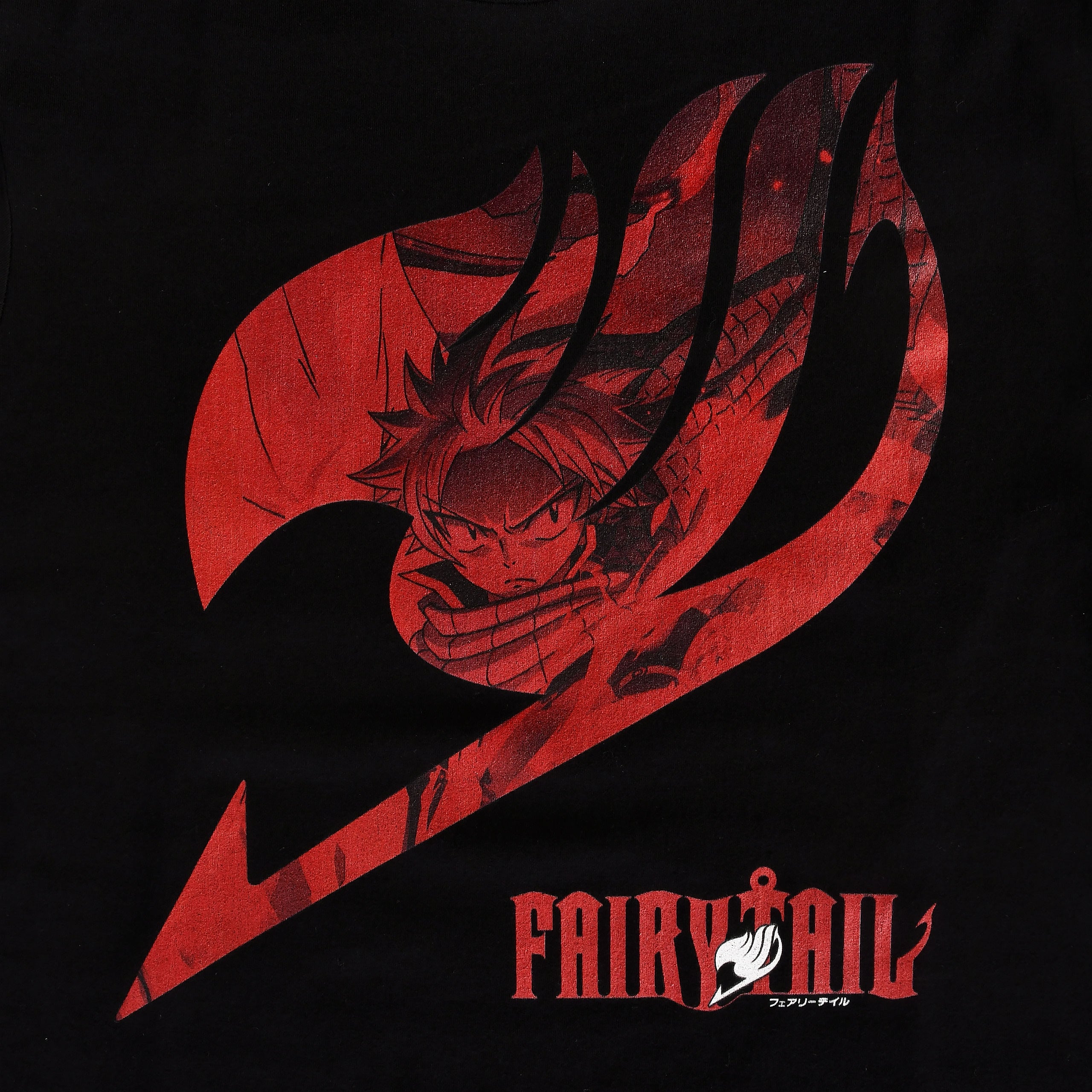 Produktbild Fairy Tail - Logotyp med Natsu T-shirt svart