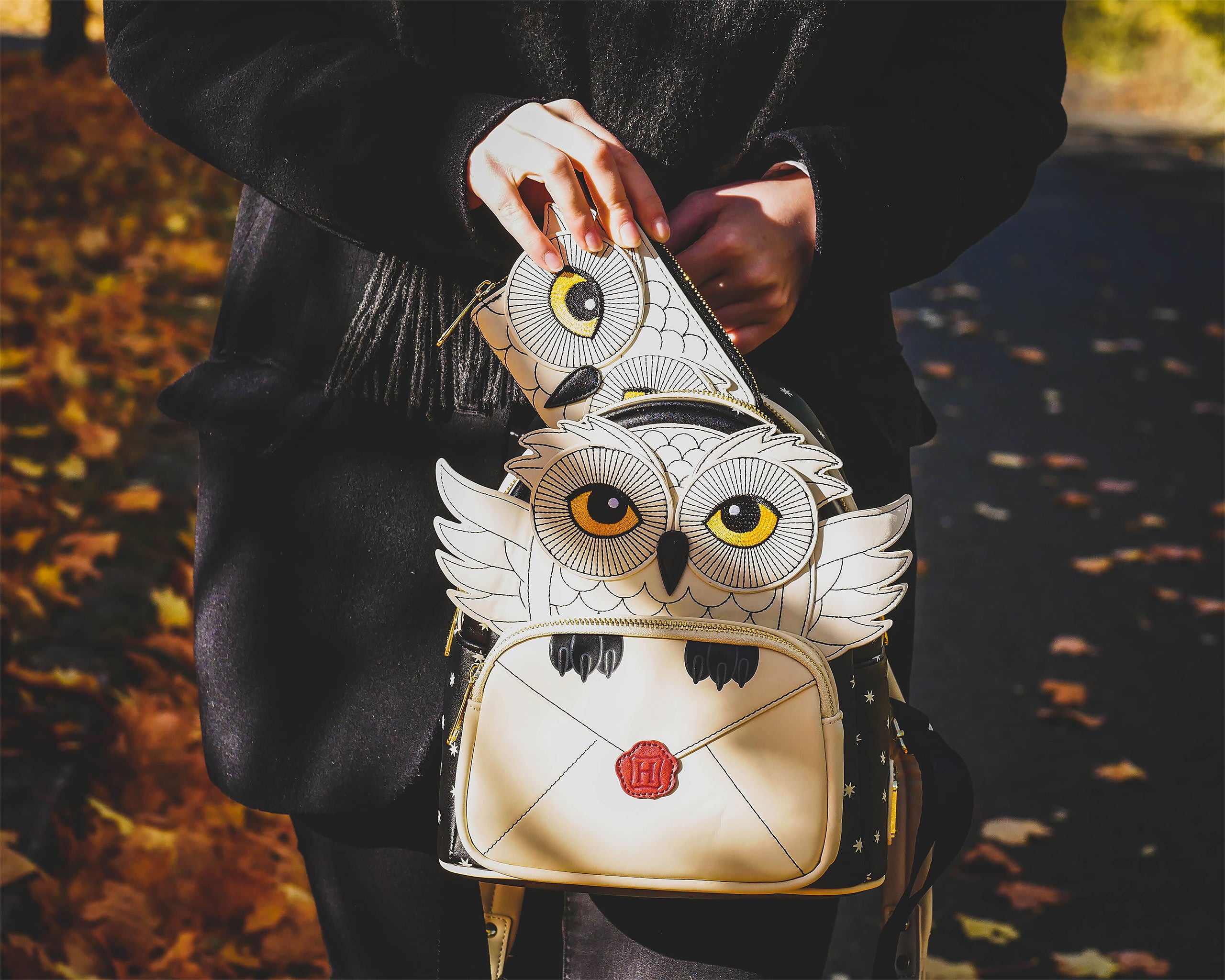 Produktbild Harry Potter - Hedwig med Hogwarts-brev plånbok