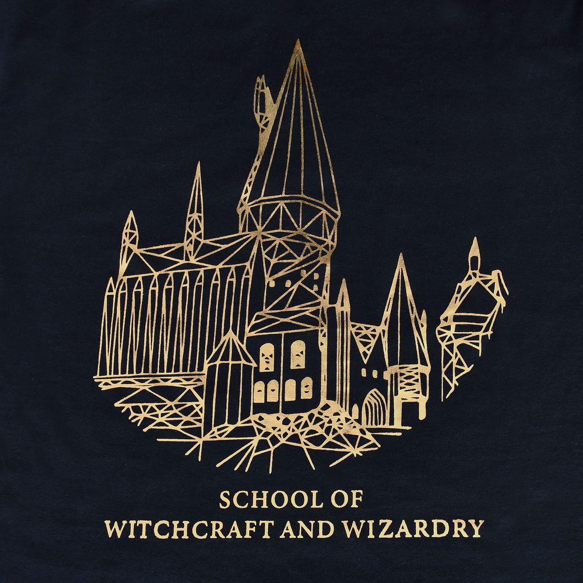 Product image Harry Potter - Hogwarts School Women's T-Shirt Blue