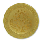Produktbild Dungeons & Dragons - Amulet of Health Medaljong