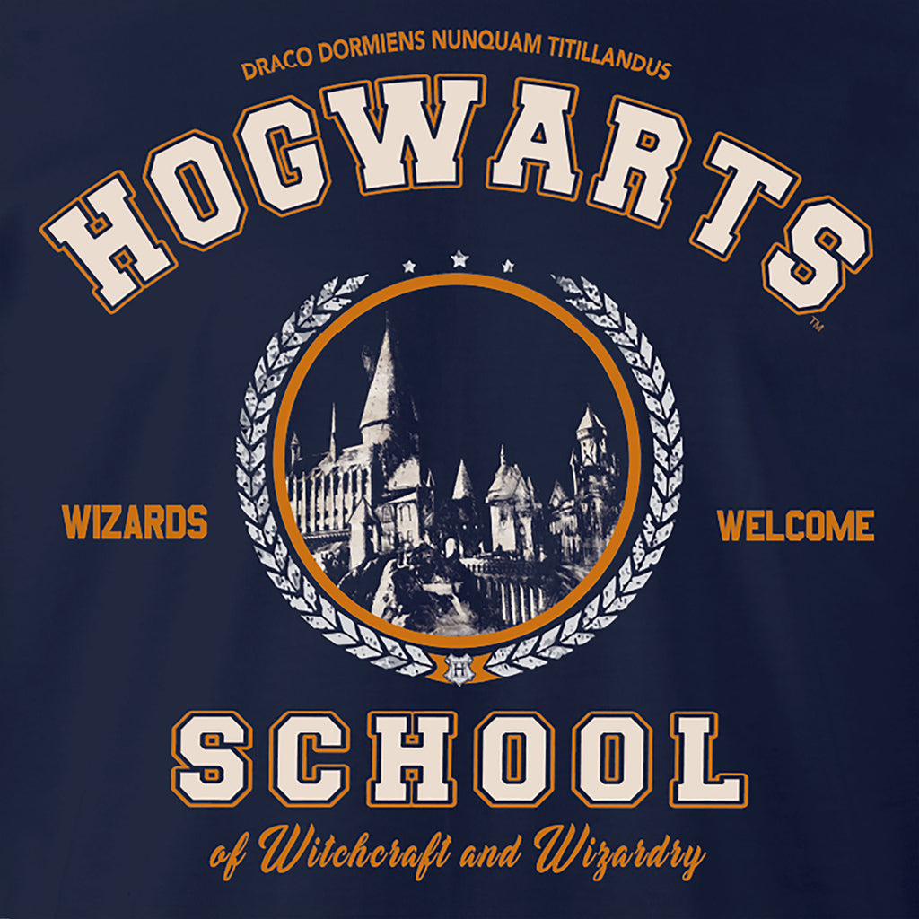Produktbild Harry Potter - Hogwarts School T-shirt blå