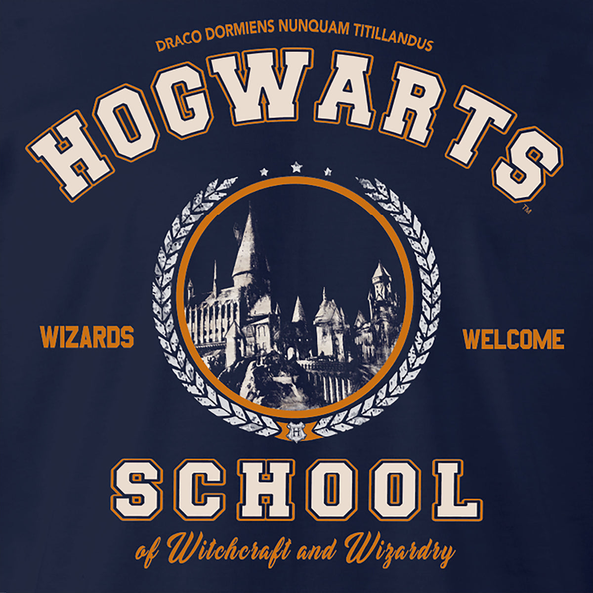 Produktbild Harry Potter - Hogwarts School T-shirt blå