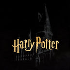 Produktbild Harry Potter - Hogwarts slott T-shirt svart