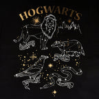 Produktbild Harry Potter - Hogwarts husdjurssköld T-shirt svart