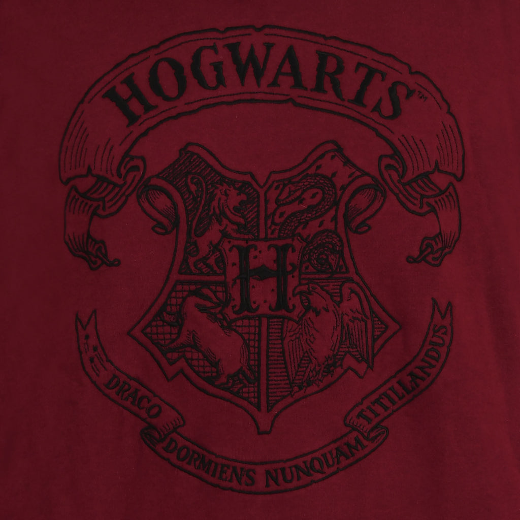 Produktbild Harry Potter - Hogwarts Logotyp Huvtröja Röd