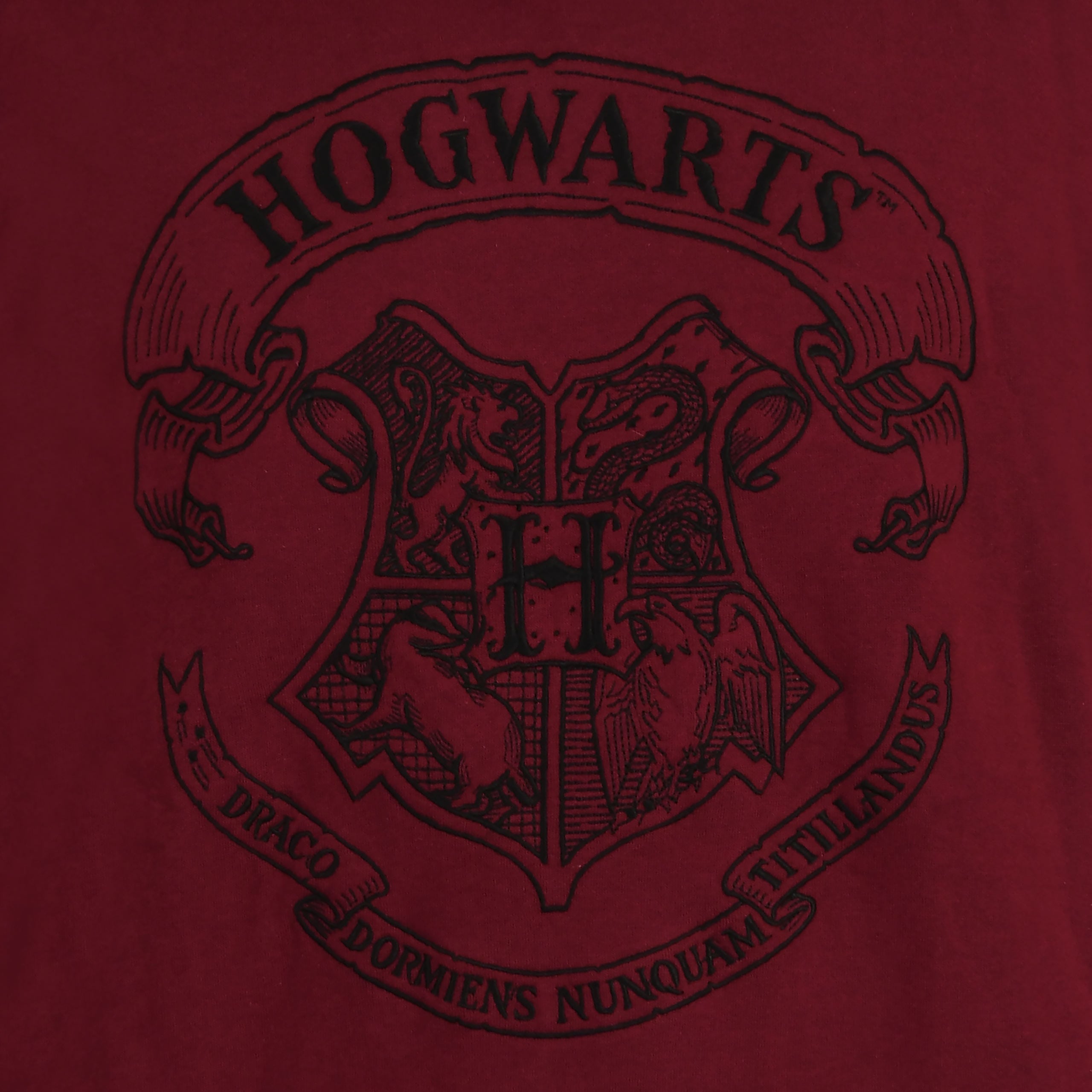 Produktbild Harry Potter - Hogwarts Logotyp Huvtröja Röd