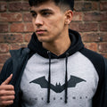 Produktbild The Batman - Logo Baseball Hoodie grå-svart