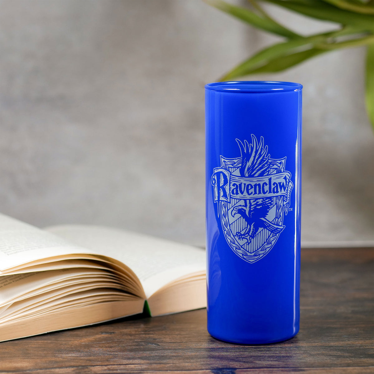 Produktbild Hogwarts hus glas-set 5-delad - Harry Potter