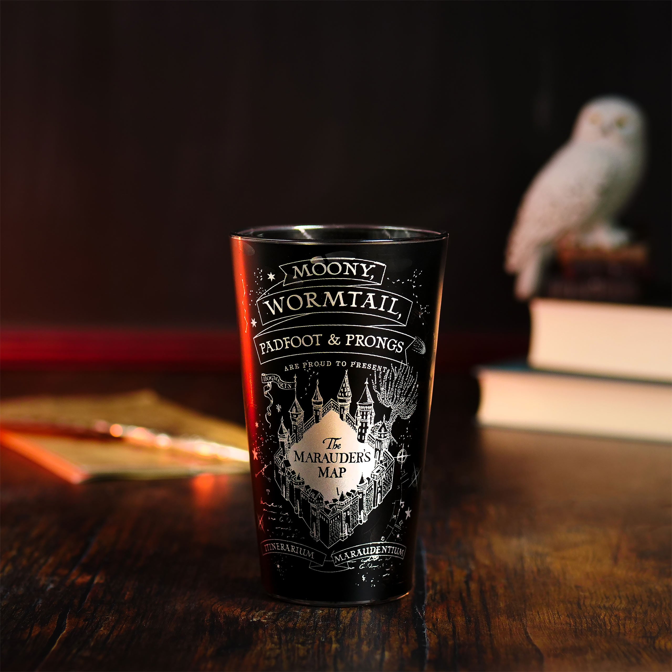 Produktbild Harry Potter - Svart glas med Marodörkartan