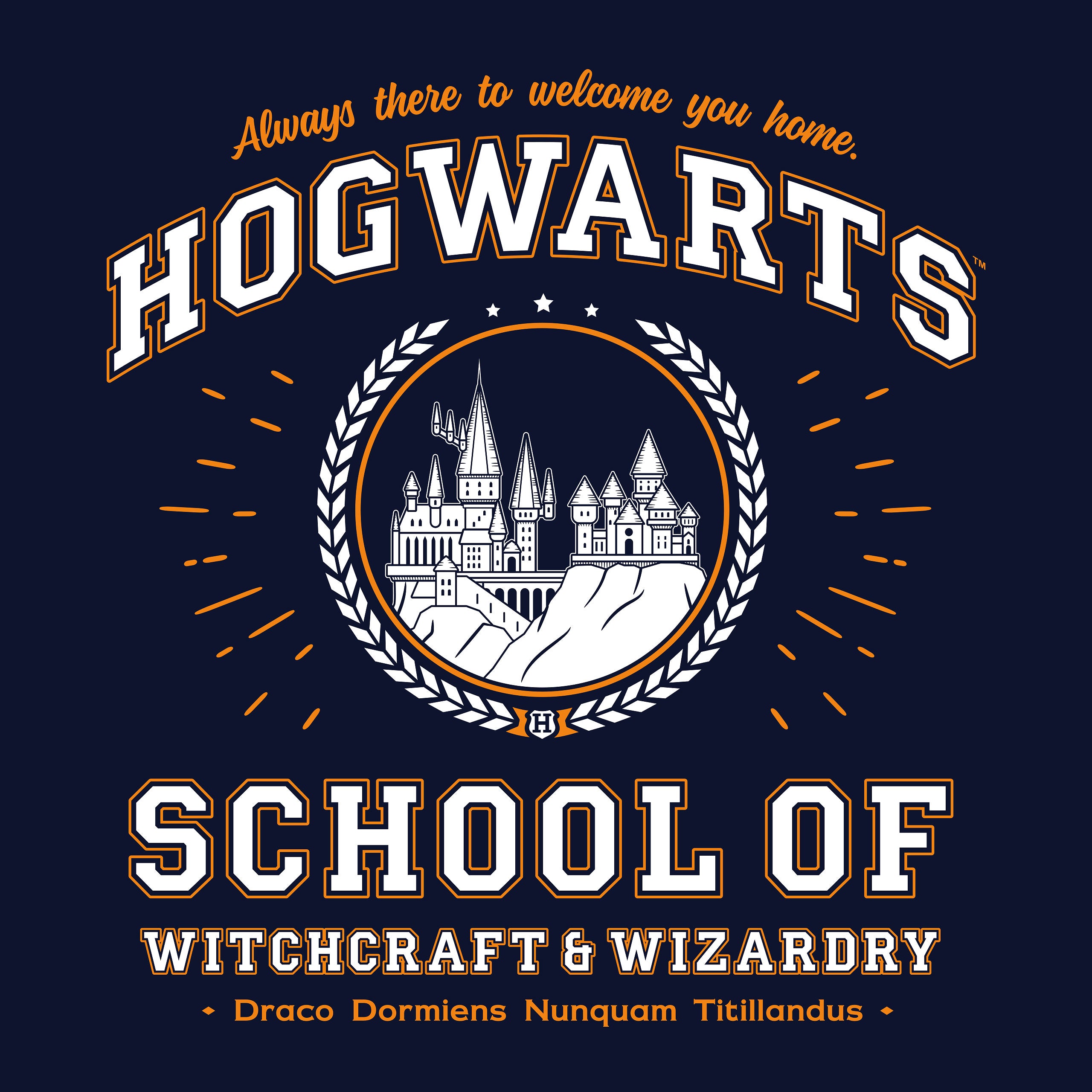 Product image Hogwarts School Hoodie Blue - Harry Potter