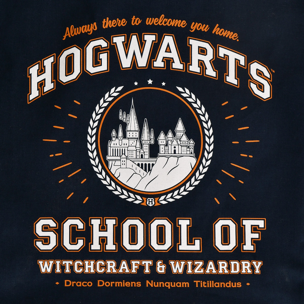 Produktbild Hogwarts School tygpåse blå - Harry Potter