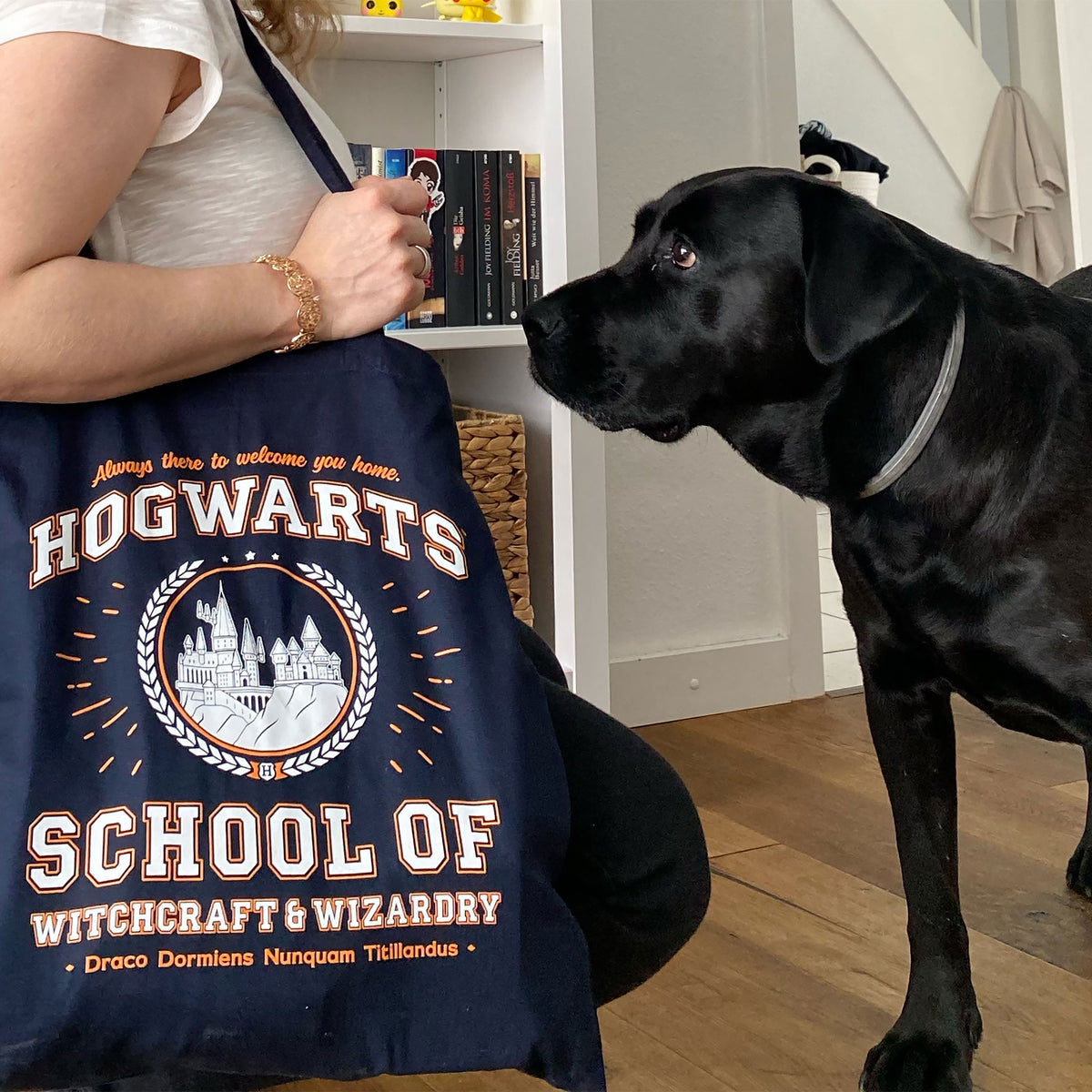 Produktbild Hogwarts School tygpåse blå - Harry Potter