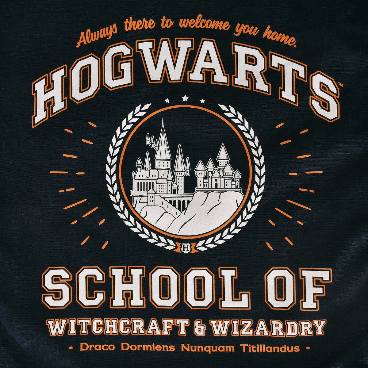 Produktbild Hogwarts School Sportväska blå - Harry Potter