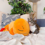 Produktbild Pokemon - Charmander plyschfigur sovande