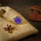 Produktbild Harry Potter - Chokladgroda Pin 2-pack
