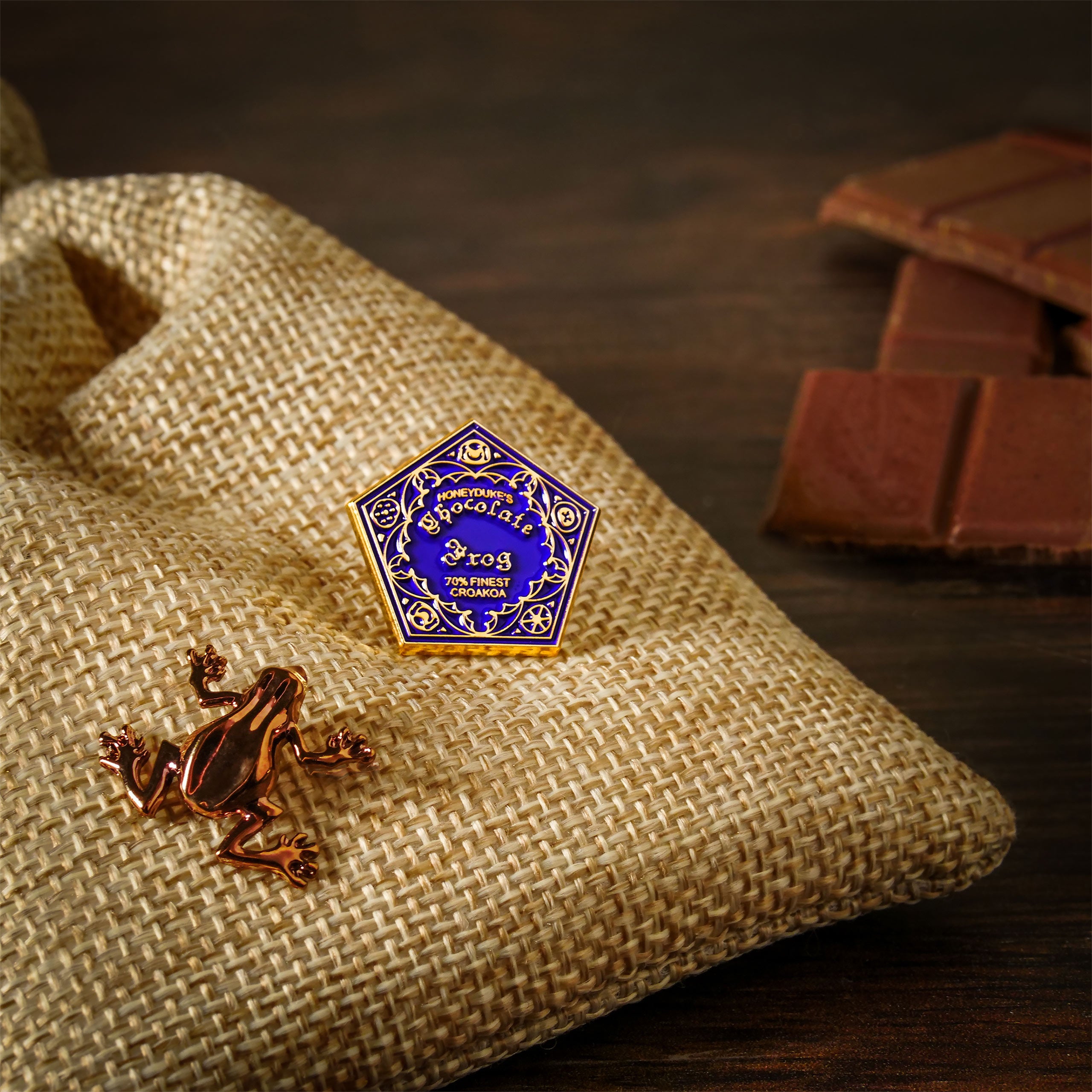 Produktbild Harry Potter - Chokladgroda Pin 2-pack