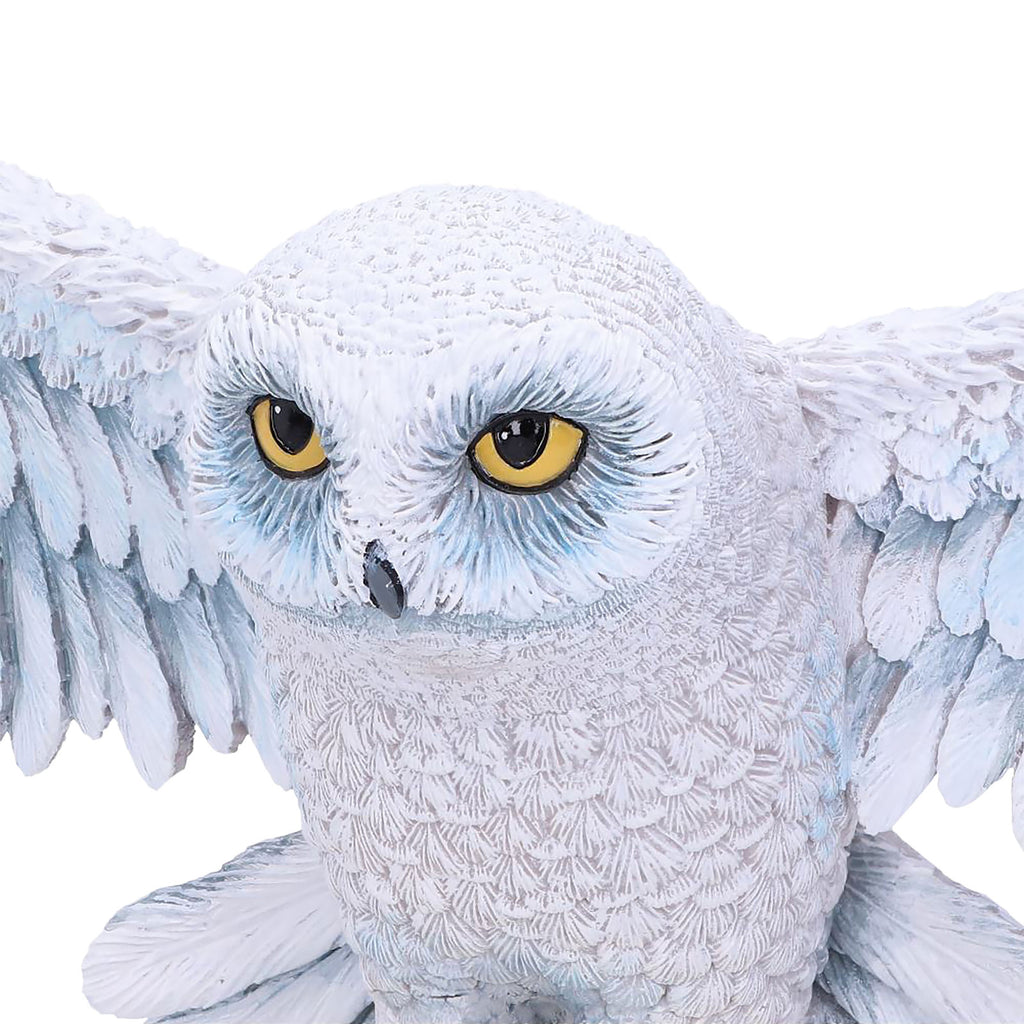 Produktbild Hedwig Väggskulptur - Harry Potter