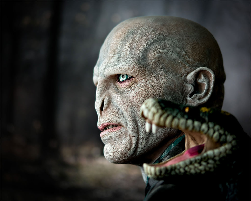 Produktbild Lord Voldemort med Nagini Byst - Harry Potter