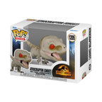 Produktbild Jurassic World - Atrociraptor Ghost Funko Pop Figur