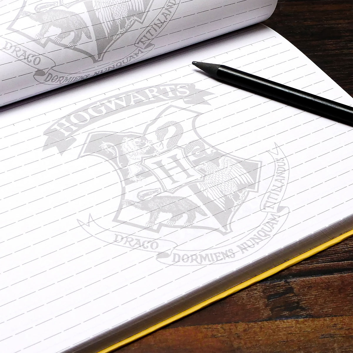 Produktbild Hogwarts Brev Anteckningsbok med magnetlås A5 - Harry Potter