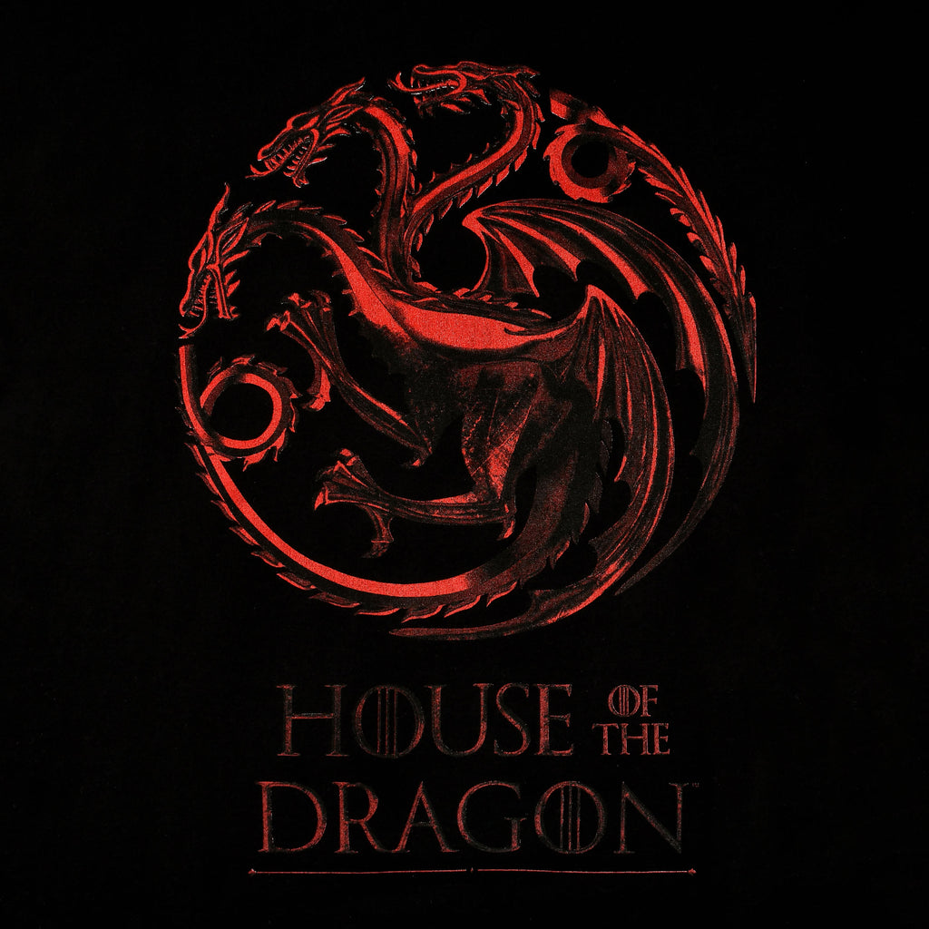 Produktbild House of the Dragon - Logotyp T-shirt svart