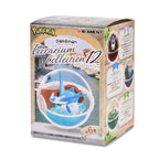 Produktbild Pokemon - Terrarium Collection Vol. 12 Mystery Minis Figur