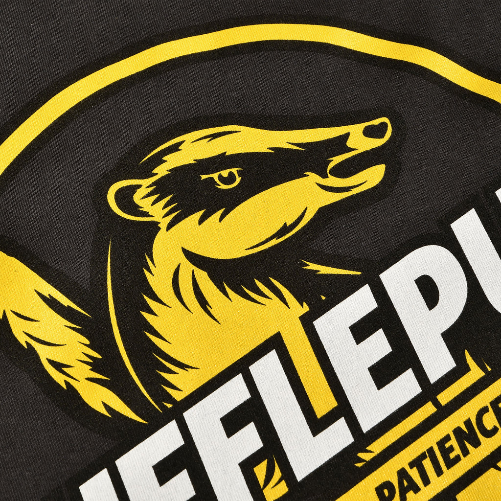 Produktbild Hufflepuff House Values T-shirt grå - Harry Potter