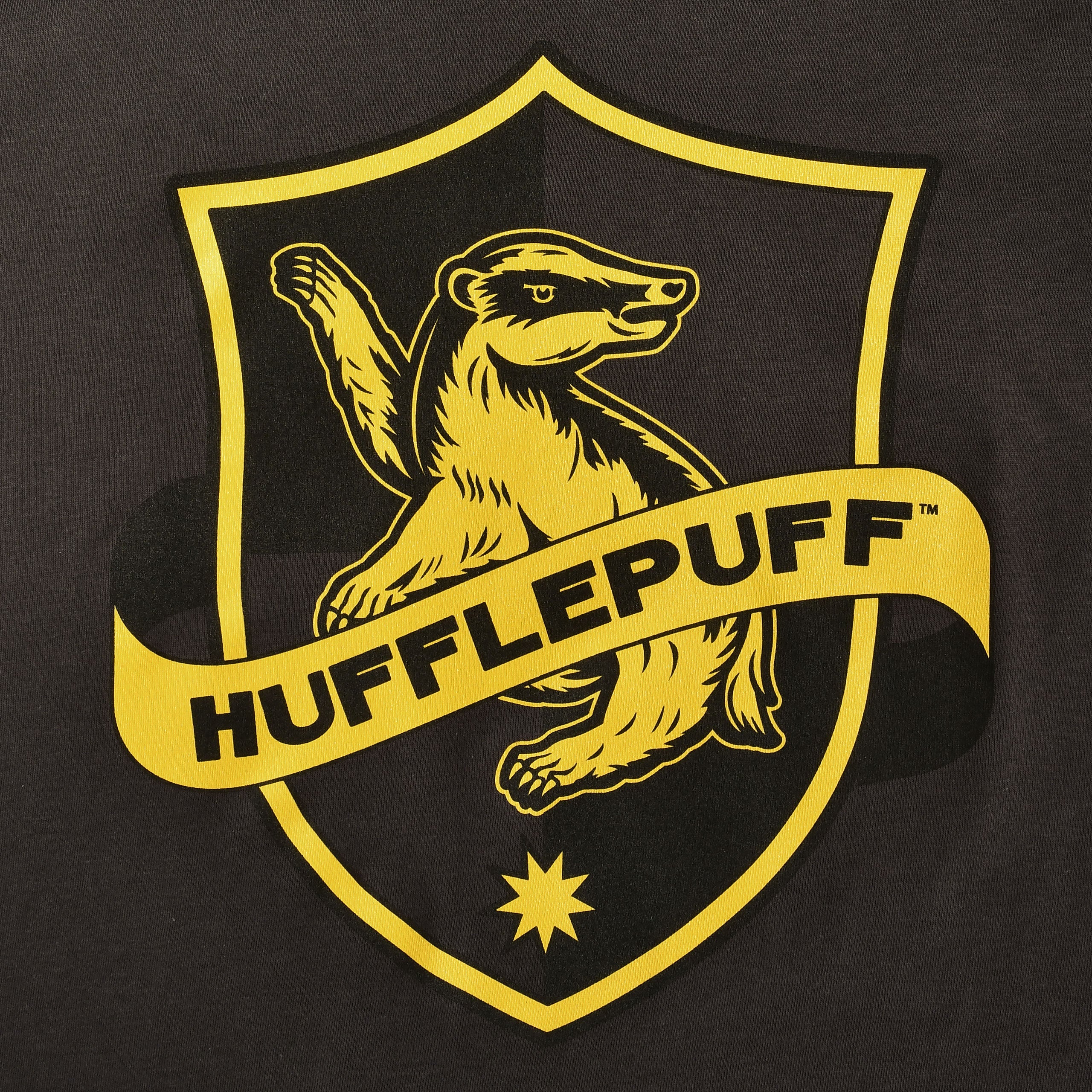 Produktbild Hufflepuff Logo T-shirt grå - Harry Potter