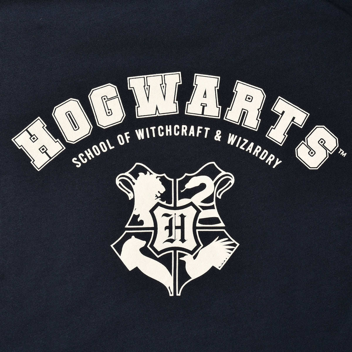 Produktbild Hogwarts School T-shirt blå - Harry Potter