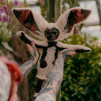 Produktbild Avatar The Last Airbender - Momo Gosedjursfigur