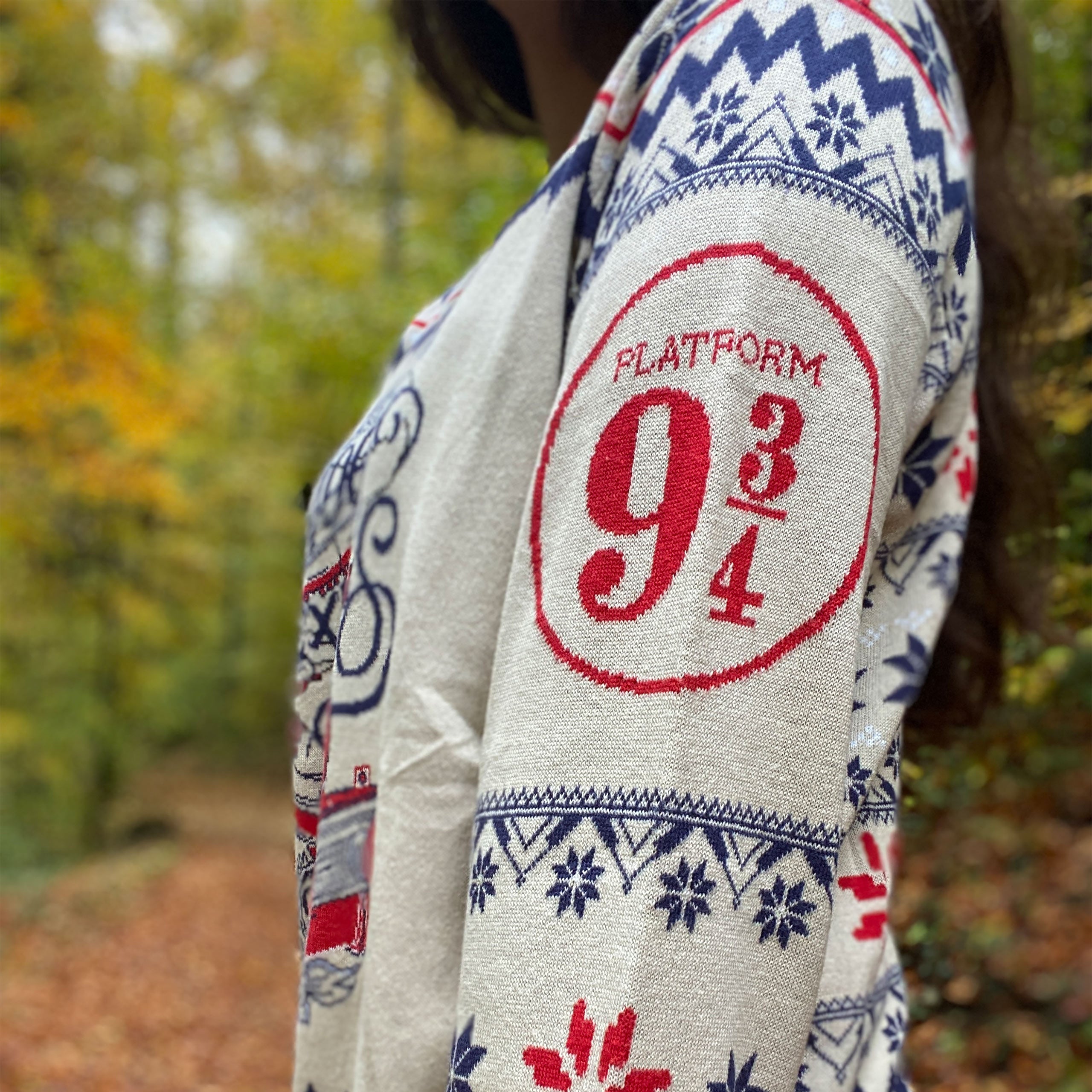 Produktbild Harry Potter - Hogwarts Express Stickad Tröja
