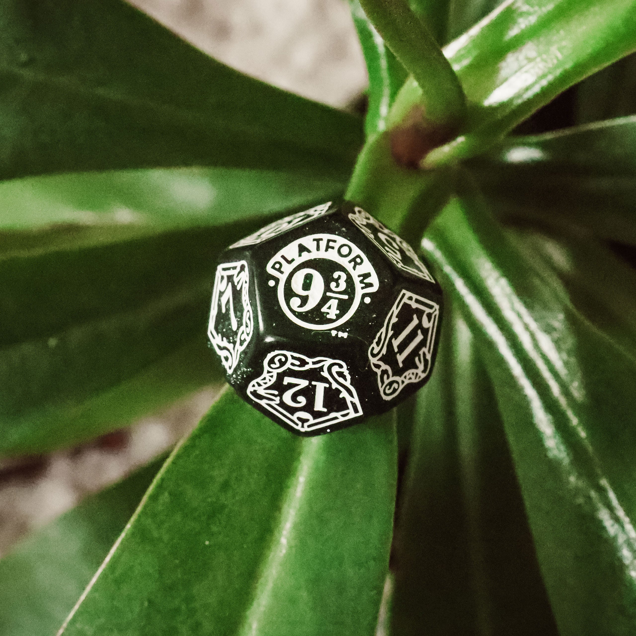 Produktbild Harry Potter - Slytherin RPG Tärningsset 7-delat grönt