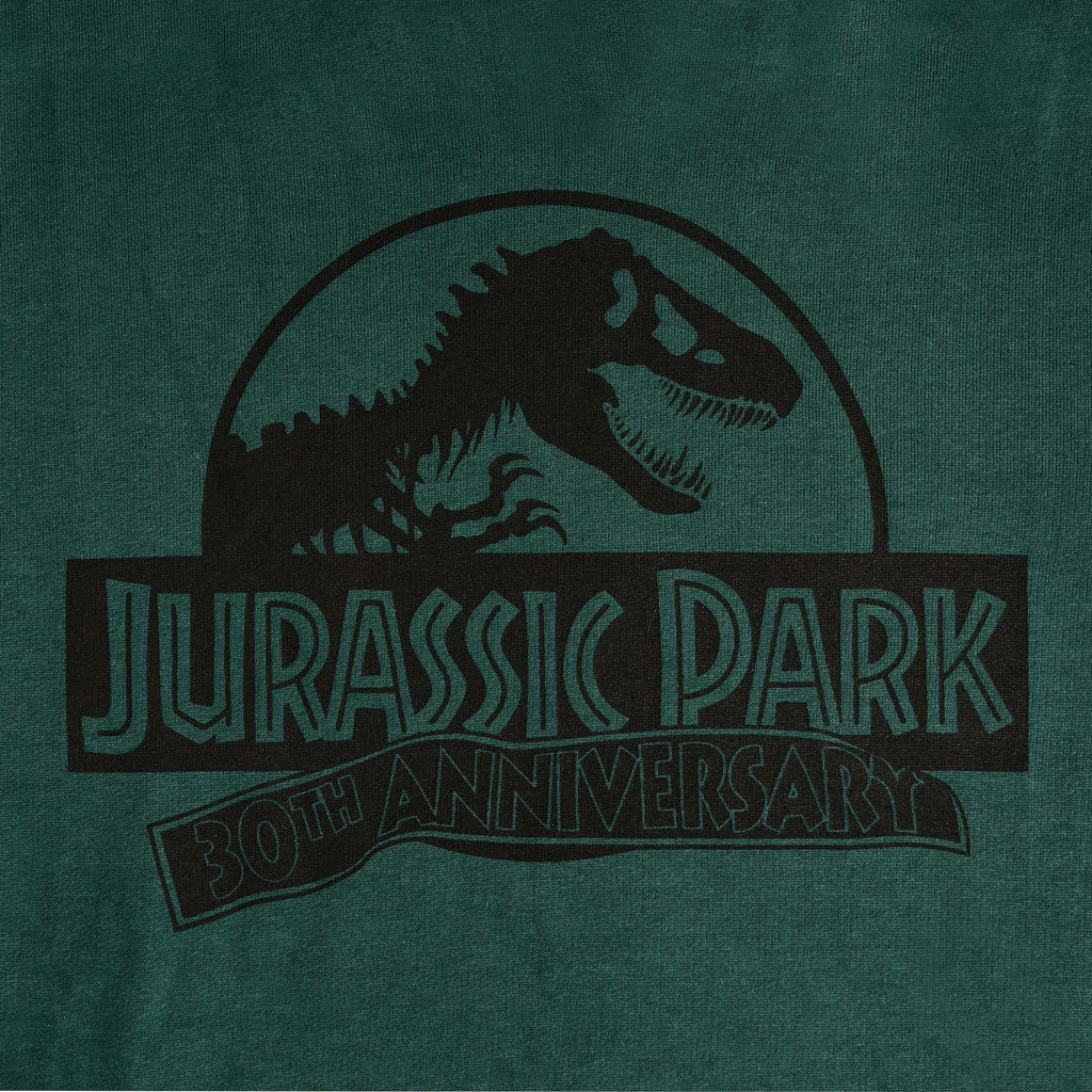 Produktbild Jurassic Park - Isla Nublar Grön Hoodie