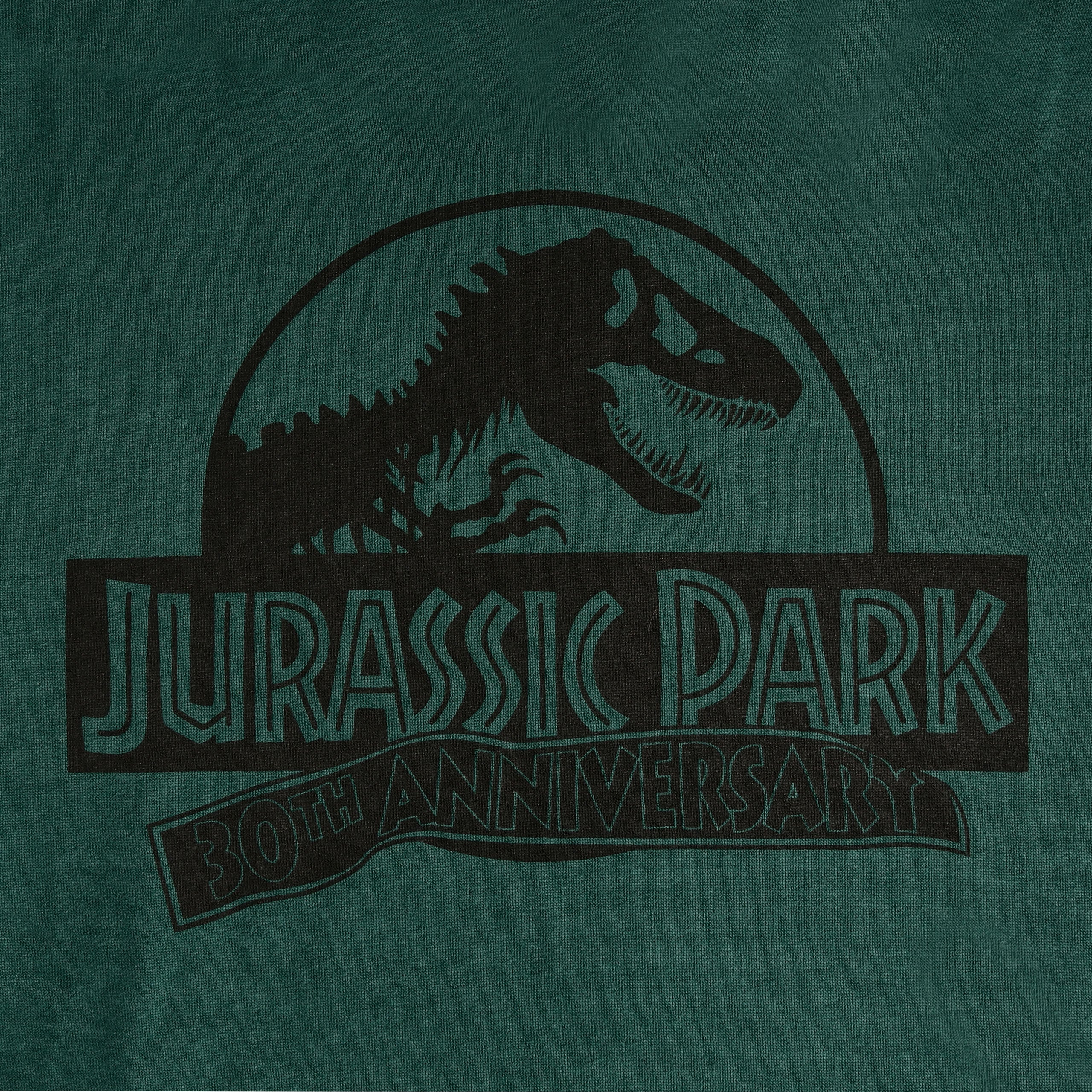 Produktbild Jurassic Park - Isla Nublar Grön Hoodie