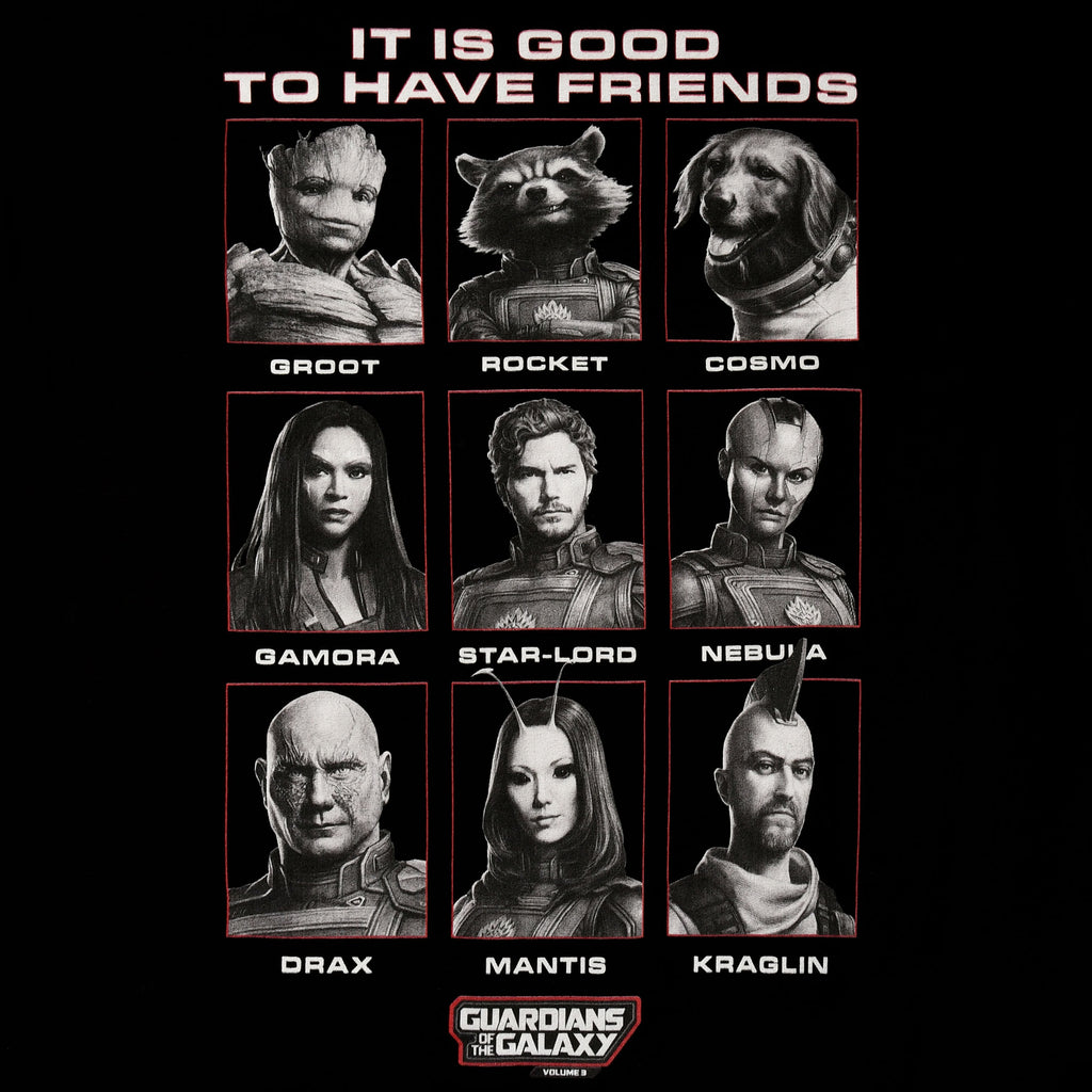 Produktbild Guardians of the Galaxy - Good Friends T-shirt svart