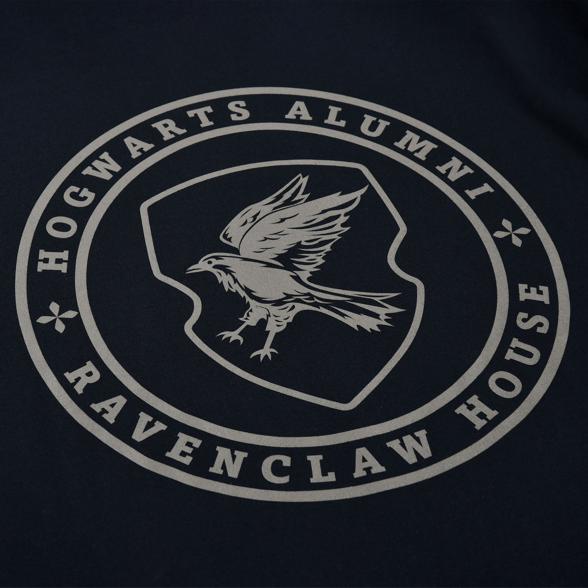 Produktbild Ravenclaw Hogwarts Alumni T-shirt blå - Harry Potter