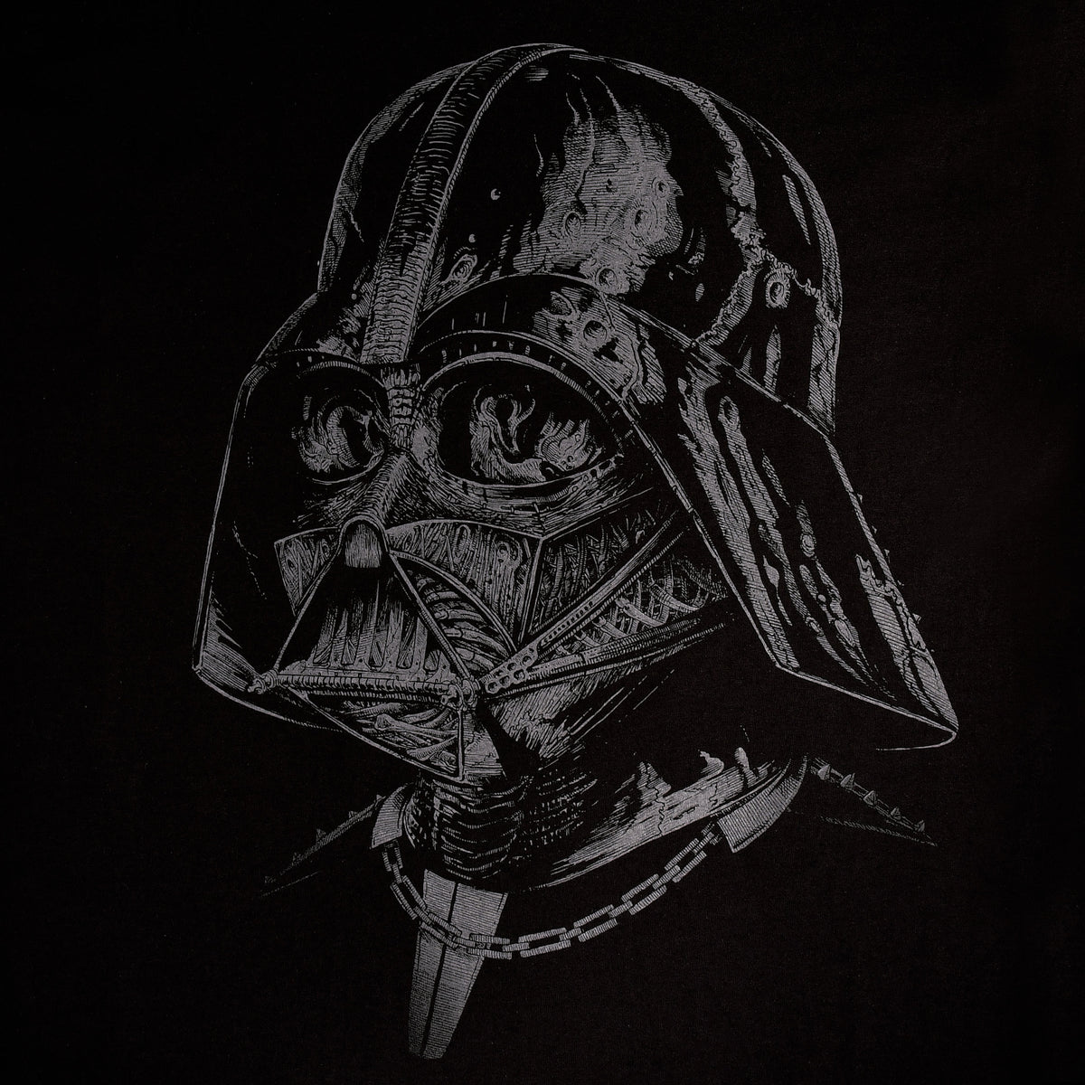 Produktbild Star Wars - Dark Lord T-shirt svart