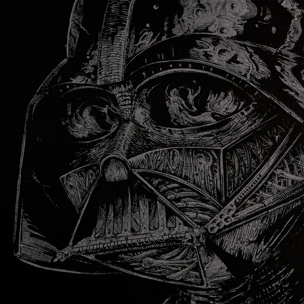 Produktbild Star Wars - Dark Lord T-shirt svart