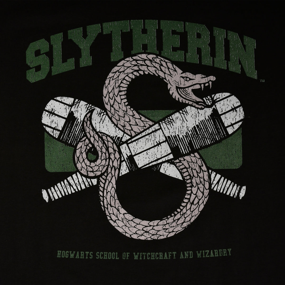 Produktbild Slytherin Quidditch College T-shirt svart - Harry Potter